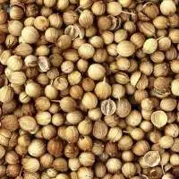 Premium Grade Coriander Seeds Eagle