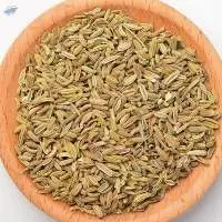 Premium Grade Cumin Seeds Singapore Quality