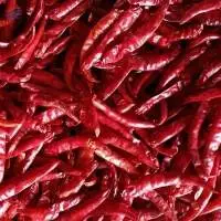 High Quality Teja Red Chilli S17 Whole Steamless