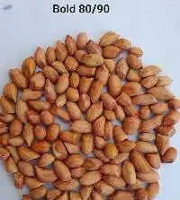Premium Quality Peanuts (Groundnuts)
