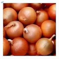 Pink Onion
