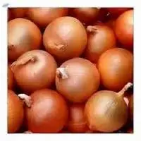 Pink Onion