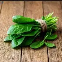Fresh Spinach