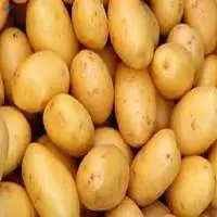 Fresh Potatoes