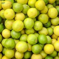 Fresh Lemon