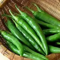 Fresh Green Chilli