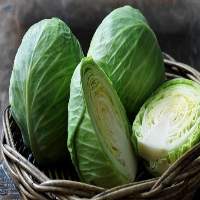Fresh Cabbage