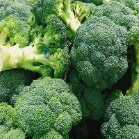 Fresh Broccoli