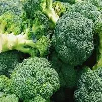 Fresh Broccoli