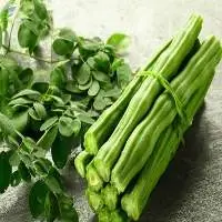 Drumstick (Moringa)