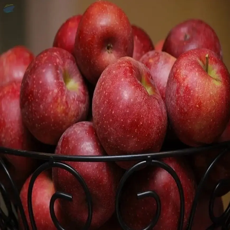 Fresh Apples