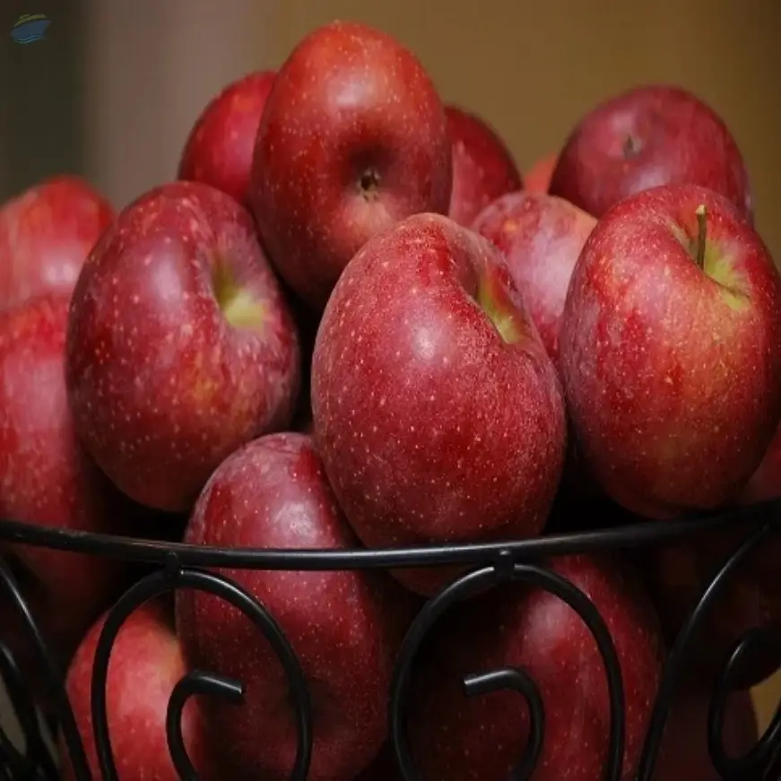 Fresh Apples