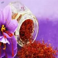 Kesar (Saffron)