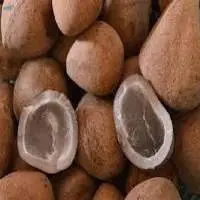 Dry Coconut