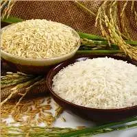Sona Masuri Rice