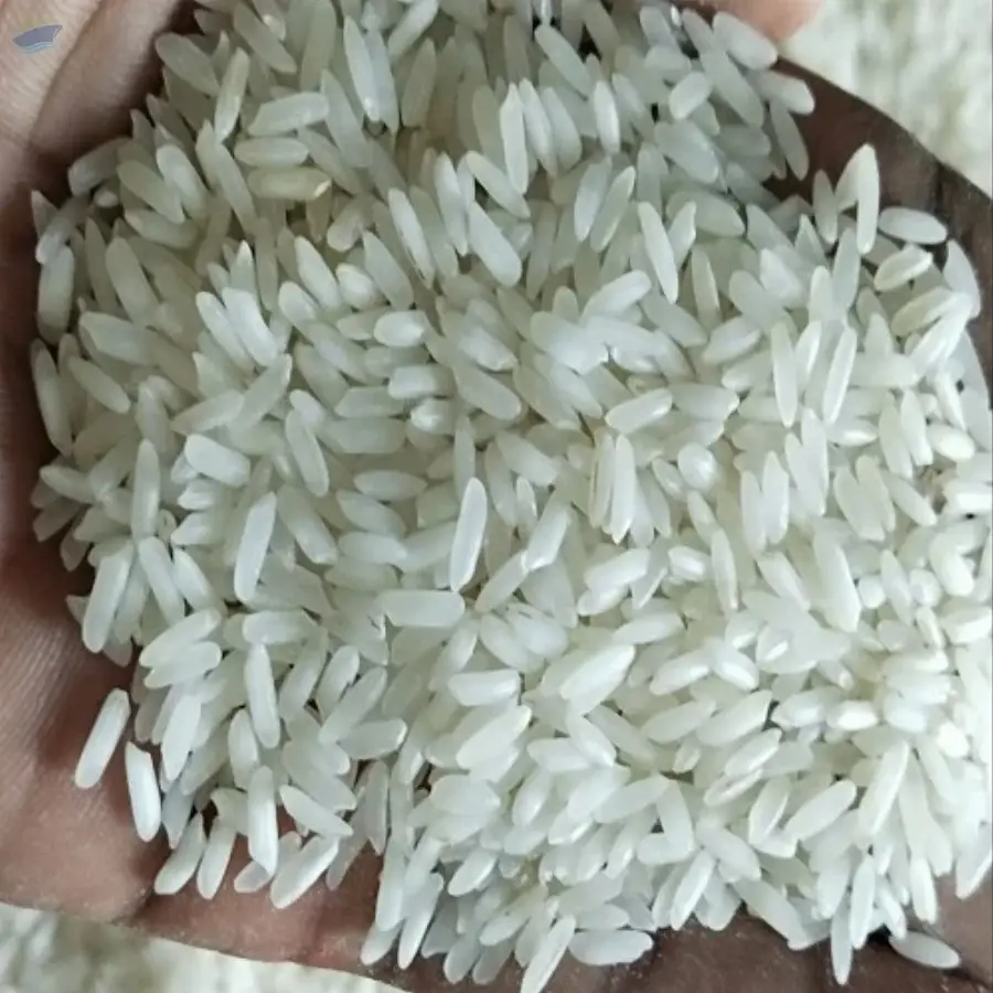 IR64 Rice
