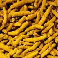 Turmeric Finger