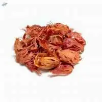 Mace (Javitri)