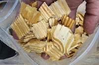 Southern Yellow Pine Clean Wood Chips