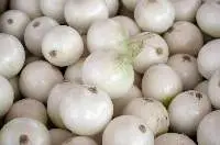 White Onion