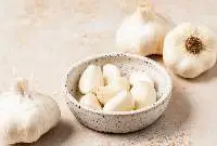 Garlic fresh