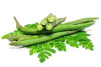 Drumstick Fresh (moringa Pods)