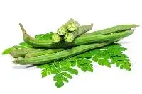 Drumstick Fresh (moringa Pods)