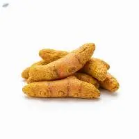 Turmeric Finger And Bulb