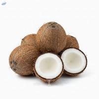 Mature Coconuts