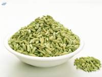 Fennel Seeds