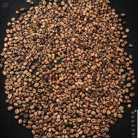 Robusta/Conilon & Arabic Coffee
