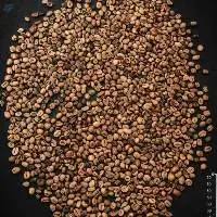 Robusta/Conilon & Arabic Coffee