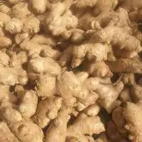 Fresh Ginger
