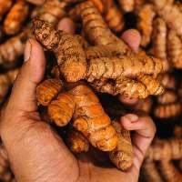 Fresh Turmeric