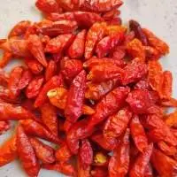 Chili Pepper