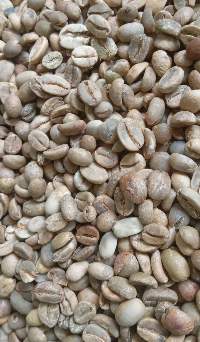 Finest Quality Arabica Coffee Beans