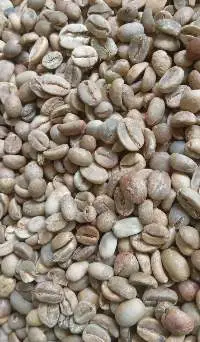 Finest Quality Arabica Coffee Beans