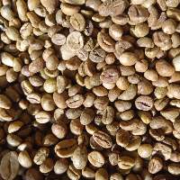 Finest Quality Robusta Coffee Beans Premium