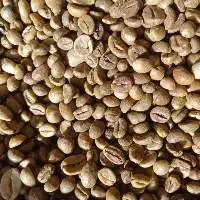 Finest Quality Robusta Coffee Beans Premium