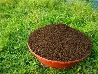 Vermicompost