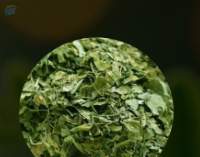 Moringa Dried Leaves
