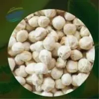 Moringa Seeds (Whole Raw)