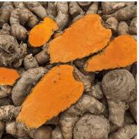 Lakadong / High Curcumin