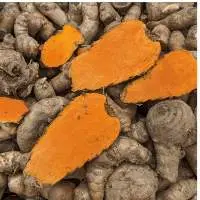 Lakadong / High Curcumin