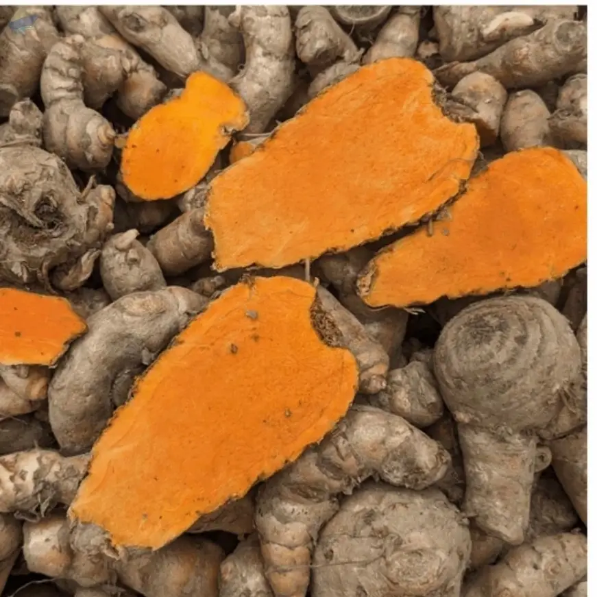 Lakadong / High Curcumin