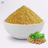 Coriander Machine Clean Sxo
