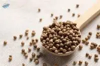 Coriander Eagle Grade (bold)
