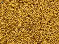coriander seeds Splits / Dhal