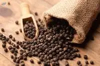 Pepper (MG1/TGSEB)
