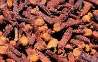 Clove  CG1 (Madagascar/Zanzibar)